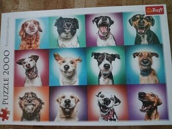 Puzzle psi