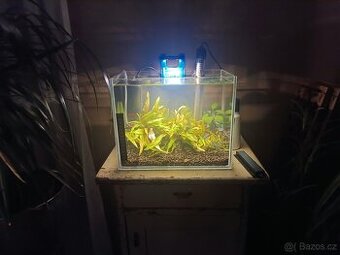 Akvárium 10l