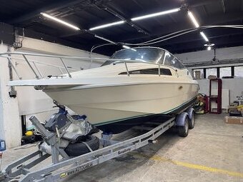 Rio 650 Cruiser