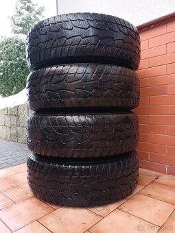Zimni sada 5 x127