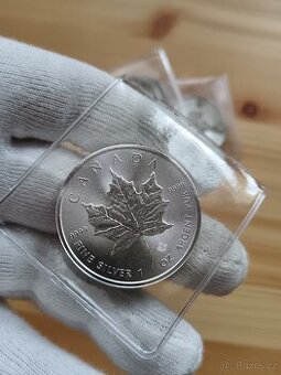 Stříbrné mince 1oz Maple Leaf 2019
