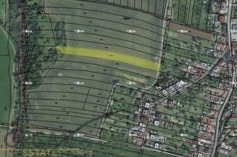 Prodej pozemku 4802 m2 v k. ú. Medlovice u Uherského Hradišt