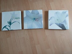 3x obrázek (28 x 28 cm)