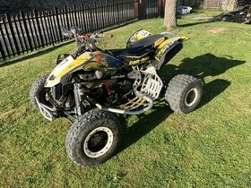 Can am DS 450