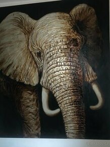 Obraz slona - 1