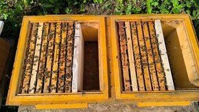 Včelí oddělky z Vysočiny 39x24, 39x30, 39x15