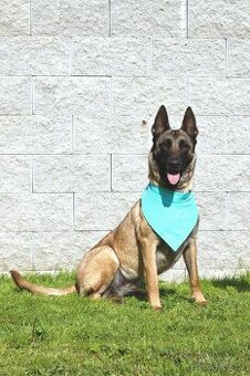 Malinoiska Naomi hledá domov