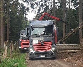 ŘIDIČ/KA C+E PŘEPRAVA DŘEVA