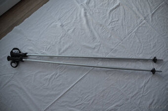 Lyžařské hole Arcore 125 cm stříbrné