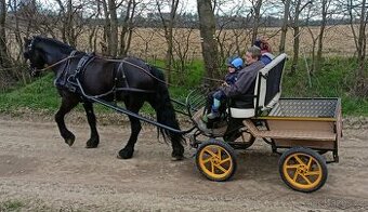 Prodam kocar vhodny pro velky pony/cob/velky kun