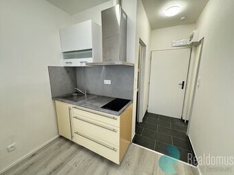 Pronájem, byt 1KK, 20 m2, Kaplice - 1