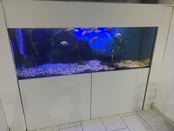Akvárium 500l - 1