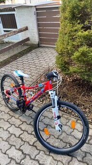 Dětské kolo Superior Paint 24 TOP