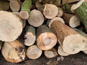 Palivové dřevo - DUB - dovoz zdarma