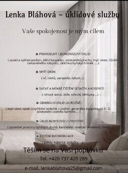 Úklid domů a bytů