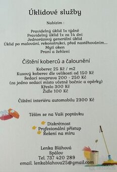Úklid domů a bytů