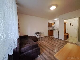 Pronájem 1+kk-zvýšené přízemí 28m², okno do zahrady. Šilingr