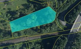 Prodám lesní pozemek na k. ú. Mikulovice u Jeseníka