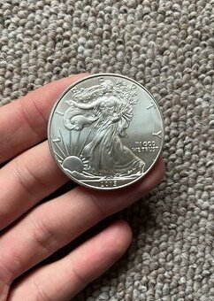11x Stříbrné investiční mince American Eagle 1 Oz