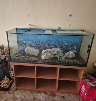 AKVÁRIUM 240 L SE SKŘÍNÍ