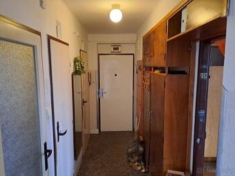 Byt 3+1 s garáží Solnice - 1