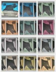 Zane Grey série 30 knih + 3 knihy