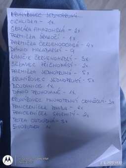 Daruji akvarijní rybičky za odvoz