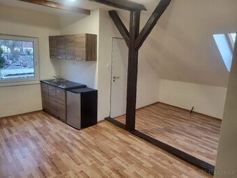 Pronájem bytu 1+kk 30m2 Strančice, Praha-východ - 1