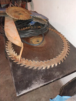 Cirkulára s kolébkou - 1