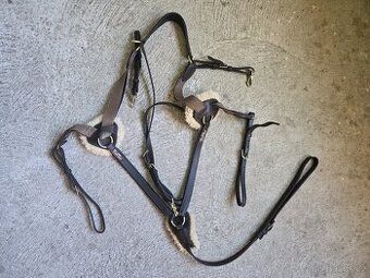 Poprsák Kentaur Palermo