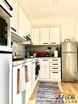 Pronájem hezkého bytu 1+1, 36 m² na ul. Železárenská, Ostrav