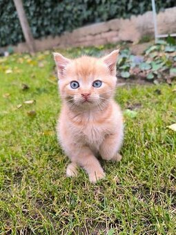 Zdravá & hravá KOŤÁTKA