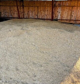 Oves nahý + pšenice BIO