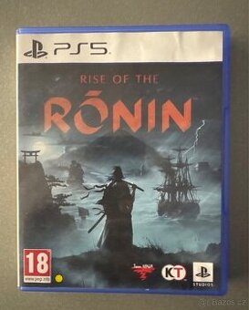 Rise of The Ronin