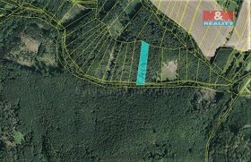 Prodej lesa, 2021 m², Vranová Lhota