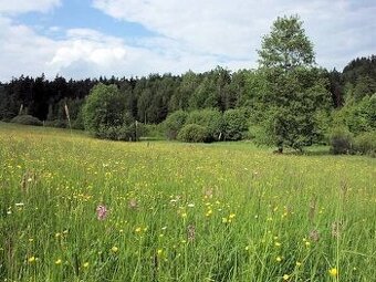 Prodej pozemku Těrlická přehrada 1392m2