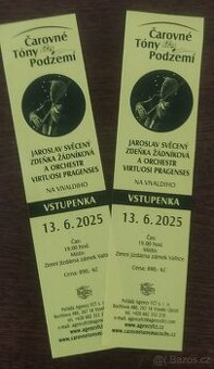 2x vstupenka na Jaroslav Svěcený/ 13.6.25. Zámek Valtice .