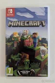 Minecraft Nintendo Switch