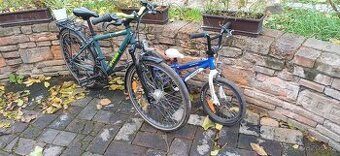 Kolo Rockrider 540 + Specialized 16