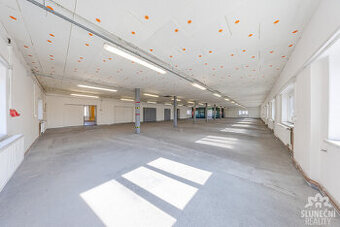 Pronájem průmyslového prostoru, 391 m², Uherský Brod