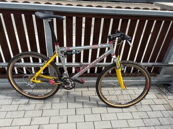 Rocky Mountain Element 1996, XTR, Syncros, Hügi, L 19”