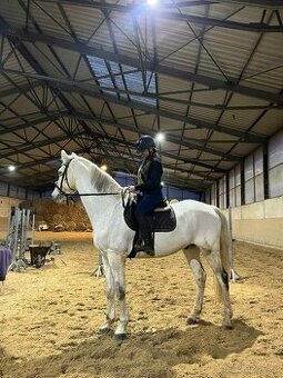 Valach pro sport po velkém kole