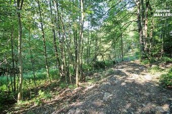 Jestřabí v Krkonoších - 1