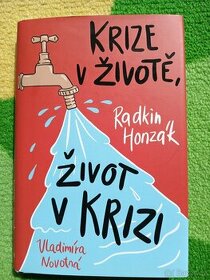 Krize v životě, život v krizi - Radkin Honzák