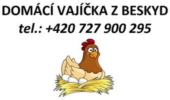 domácí vajíčka