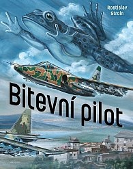 Rostislav Stroin - Bitevní pilot