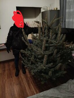 Vànoční stromeček