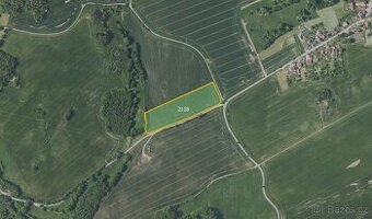 Zemědělská půda, prodej, Veliš, Benešov - 1