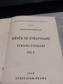 Karin Michaëlis – Děvče se střepinami I.