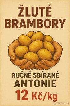 Prodej brambor
